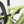 Laden Sie das Bild in den Galerie-Viewer, Specialized Turbo Levo E-MTB vollgefedert Alloy