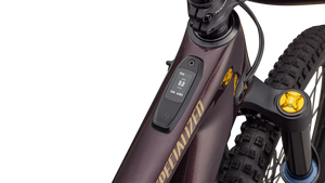 Specialized Turbo Levo SL 2  Öhlins Coil, SONDERPREIS