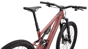Specialized Turbo Levo SL 2 Comp Carbon E-MTB, SONDERPREIS