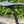 Laden Sie das Bild in den Galerie-Viewer, Liteville 4-One MK2, Force AXS Werksmaschine Gravelbike, schwarz