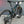 Laden Sie das Bild in den Galerie-Viewer, Specialized S-Works Levo E-MTB, 2. Hand-Bike, nur 300 KM