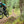 Laden Sie das Bild in den Galerie-Viewer, Specialized Stumpjumper Evo Comp Alloy (Alu)