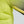 Laden Sie das Bild in den Galerie-Viewer, Specialized SL Air HyprViz Jersey Woman Kurzarm