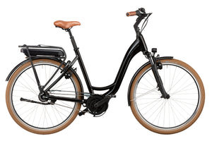 Riese & Müller Swing City inclusive abnehmbaren Frontkorb und Zusatzschloßkette