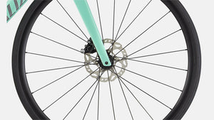 Rennrad Specialized kaufen Lübeck Hamburg Ostsee Inspektion Fahrrad