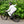 Laden Sie das Bild in den Galerie-Viewer, Specialized Turbo Vado 3.0 step through inklusive 2. Batterie als kostenfreie Zugabe