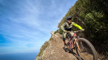 Transmadeira 2022