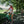 Laden Sie das Bild in den Galerie-Viewer, Woom Explore 6 Kinderfahrrad 26 Zoll
