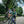 Laden Sie das Bild in den Galerie-Viewer, Woom Explore 6 Kinderfahrrad 26 Zoll
