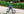 Woom Go 1 Kinderlaufrad 12 Zoll