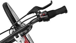 Woom Go 4 Kinderfahrrad 20 Zoll