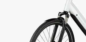 Riese & Müller UBN Six Silent, SONDERPREIS