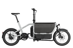 Riese & Müller Carrie Vario, Testbike zum SONDERPREIS