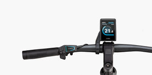 Riese & Müller Roadster4 Vario, SONDERPREIS