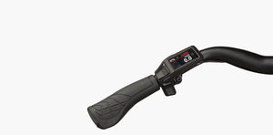 Riese & Müller Culture Mixte Silent, SONDERPREIS