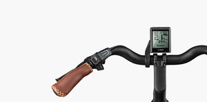 Riese & Müller Swing4 Silent, Testbike zum SONDERPREIS