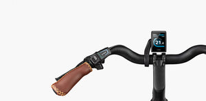 Riese & Müller Swing4 Automatic, inclusive abnehmbaren Frontkorb und Zusatzschloßkette, SONDERPREIS