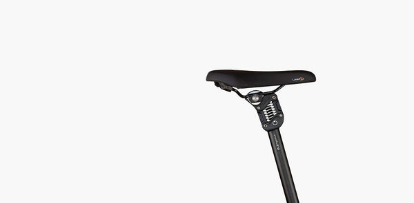 Riese + Müller Tinker2 Vario
