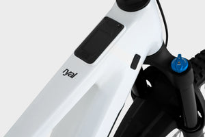 Megamo Ryal 08 Alu E-MTB