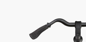 Riese & Müller Roadster4 Mixte Vario, Testbike zum SONDERPREIS