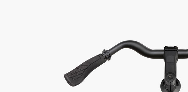 Riese & Müller Roadster4 Mixte Vario, Testrad zum SONDERPREIS