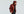 Specialized Packable Down Jacket Men, Daunenjacke, nur 200 Gramm leicht
