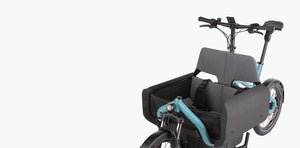 Riese & Müller Carrie Vario, Testbike zum SONDERPREIS