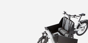 Riese & Müller Transporter 2 65 Vario, Testbike zum SONDERPREIS