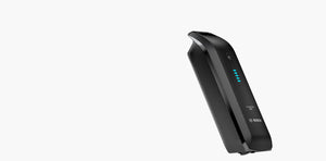 Riese & Müller Transporter 2 65 Vario, Testbike zum SONDERPREIS