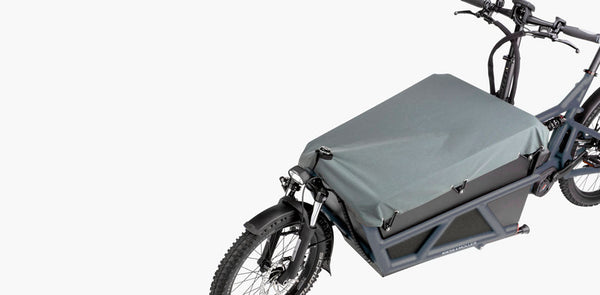 Riese + Müller Load 4 60 Touring