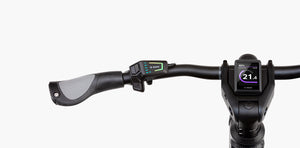 Riese & Müller Charger4 Mixte GT Vario, SONDERPREIS