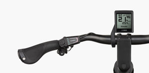 Riese & Müller Multicharger2 GT Vario 51 cm, Testbike zum SONDERPREIS