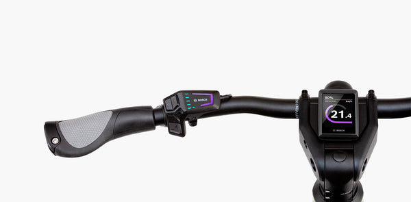 Riese + Müller Nevo 4 GT Rohloff 27,5 Zoll