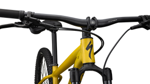 Specialized Rockhopper Expert 29