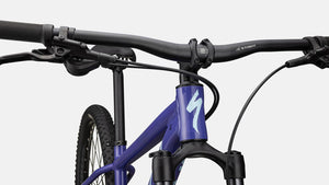 Specialized Rockhopper Comp 29