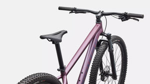 Specialized Rockhopper Expert, neues Modell 2026