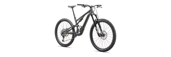 Specialized Stumpjumper 15 Comp Alloy