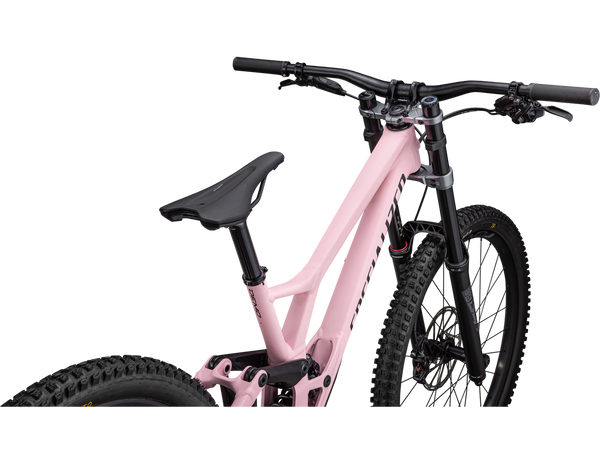 Specialized Demo Expert Downhillbike NEU