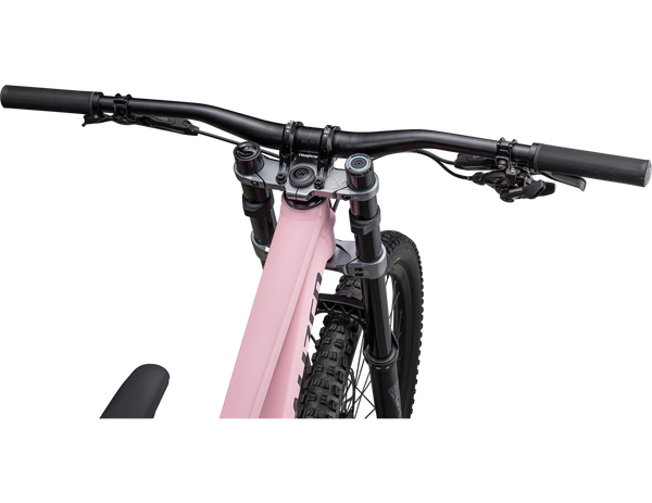 Specialized Demo Expert Downhillbike NEU