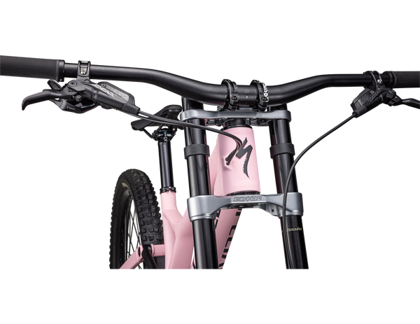 Specialized Demo Expert Downhillbike NEU