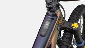 Specialized Turbo Levo 2024 E-MTB vollgefedert Alloy Öhlins Coil LTD Limited