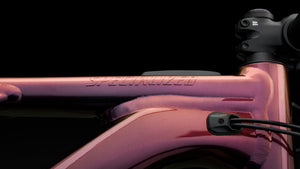 Specialized Turbo Levo 2024 E-MTB vollgefedert Alloy Öhlins Coil LTD Limited