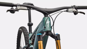 Specialized S-Works Turbo Levo R
