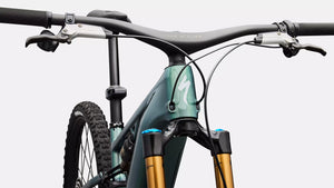 Specialized S-Works Turbo Levo R