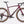 Laden Sie das Bild in den Galerie-Viewer, Specialized Diverge 4 Pro Carbon Gravelbike
