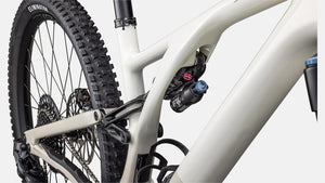 Specialized Stumpjumper Evo Expert