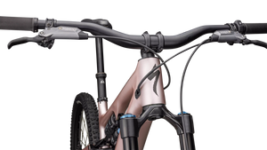 Specialized Turbo Levo SL 2 Expert Carbon, SONDERPREIS