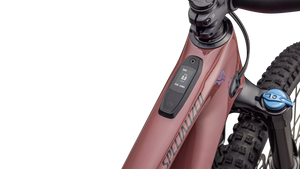 Specialized Turbo Levo SL 2 Comp Carbon E-MTB, SONDERPREIS