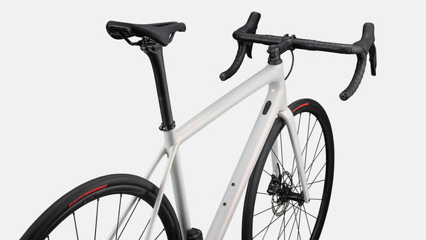 Rennrad Specialized kaufen Lübeck Hamburg Ostsee Inspektion Fahrrad