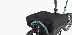 Riese & Müller Carrie Vario, Testbike zum SONDERPREIS